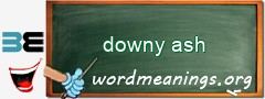 WordMeaning blackboard for downy ash